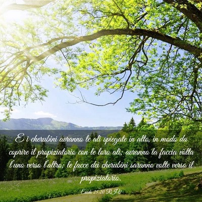 Picture 03 - Esodo 25:20 RIV - E i cherubini avranno le ali spiegate in alto, in - Bible Verse Picture