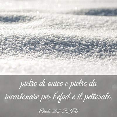 Picture 03 - Esodo 25:7 RIV - pietre di onice e pietre da incastonare per - Bible Verse Picture