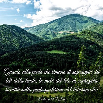 Picture 03 - Esodo 26:12 RIV - Quanto alla parte che rimane di soprappiù dei - Bible Verse Picture