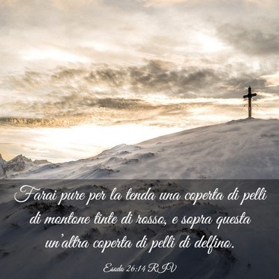 Picture 03 - Esodo 26:14 RIV - Farai pure per la tenda una coperta di pelli di - Bible Verse Picture
