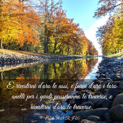 Picture 03 - Esodo 26:29 RIV - E rivestirai d’oro le assi, e farai d’oro i - Bible Verse Picture