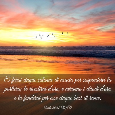 Picture 03 - Esodo 26:37 RIV - E farai cinque colonne di acacia per sospendervi - Bible Verse Picture