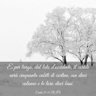 Picture 03 - Esodo 27:12 RIV - E per largo, dal lato d’occidente, il cortile - Bible Verse Picture