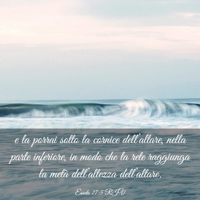 Picture 03 - Esodo 27:5 RIV - e la porrai sotto la cornice dell’altare, nella - Bible Verse Picture