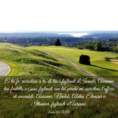 Picture 03 - Esodo 28:1 RIV - E tu fa’ accostare a te, di tra i figliuoli - Bible Verse Picture