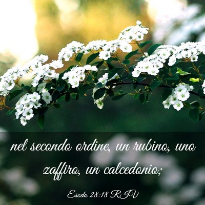 Picture 03 - Esodo 28:18 RIV - nel secondo ordine, un rubino, uno zaffiro, un - Bible Verse Picture