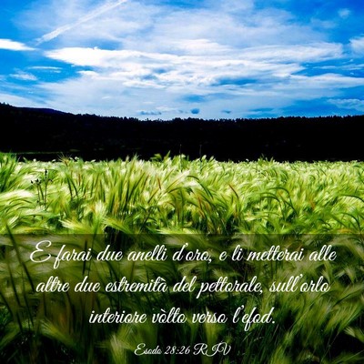 Picture 03 - Esodo 28:26 RIV - E farai due anelli d’oro, e li metterai alle - Bible Verse Picture