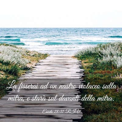 Picture 03 - Esodo 28:37 RIV - La fisserai ad un nastro violaceo sulla mitra, e - Bible Verse Picture