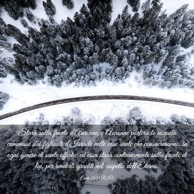 Picture 03 - Esodo 28:38 RIV - Starà sulla fronte d’Aaronne, e Aaronne - Bible Verse Picture