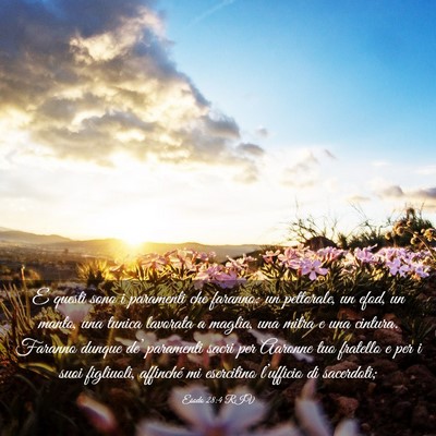 Picture 03 - Esodo 28:4 RIV - E questi sono i paramenti che faranno: un - Bible Verse Picture