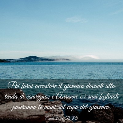 Picture 03 - Esodo 29:10 RIV - Poi farai accostare il giovenco davanti alla - Bible Verse Picture