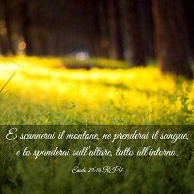 Picture 03 - Esodo 29:16 RIV - E scannerai il montone, ne prenderai il sangue, e - Bible Verse Picture