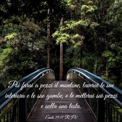 Picture 03 - Esodo 29:17 RIV - Poi farai a pezzi il montone, laverai le sue - Bible Verse Picture