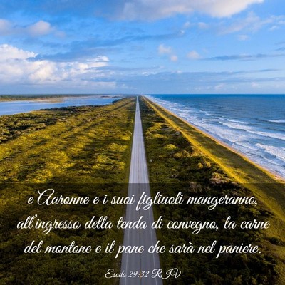 Picture 03 - Esodo 29:32 RIV - e Aaronne e i suoi figliuoli mangeranno, - Bible Verse Picture