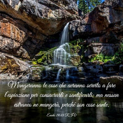 Picture 03 - Esodo 29:33 RIV - Mangeranno le cose che avranno servito a fare - Bible Verse Picture