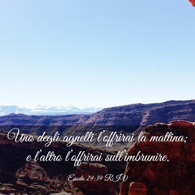 Picture 03 - Esodo 29:39 RIV - Uno degli agnelli l’offrirai la mattina; e - Bible Verse Picture