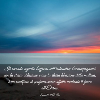 Picture 03 - Esodo 29:41 RIV - Il secondo agnello l’offrirai sull’imbrunire; - Bible Verse Picture