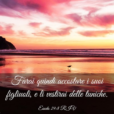 Picture 03 - Esodo 29:8 RIV - Farai quindi accostare i suoi figliuoli, e li - Bible Verse Picture