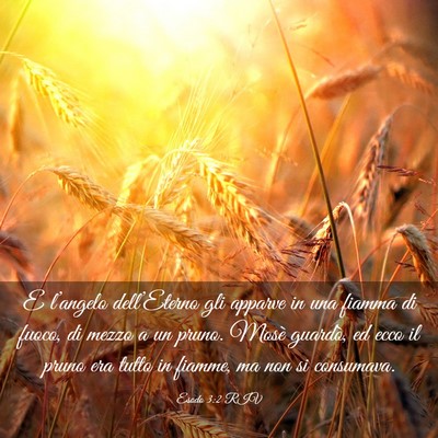 Picture 03 - Esodo 3:2 RIV - E l’angelo dell’Eterno gli apparve in una - Bible Verse Picture