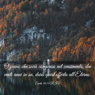 Picture 03 - Esodo 30:14 RIV - Ognuno che sarà compreso nel censimento, dai - Bible Verse Picture