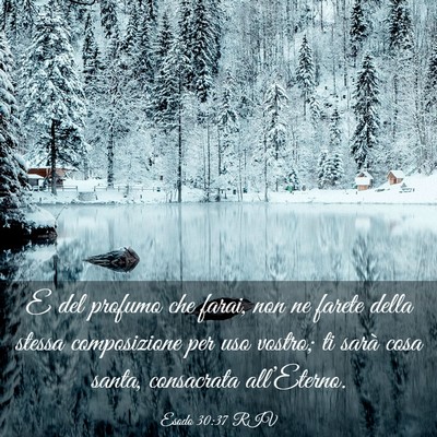 Picture 03 - Esodo 30:37 RIV - E del profumo che farai, non ne farete della - Bible Verse Picture