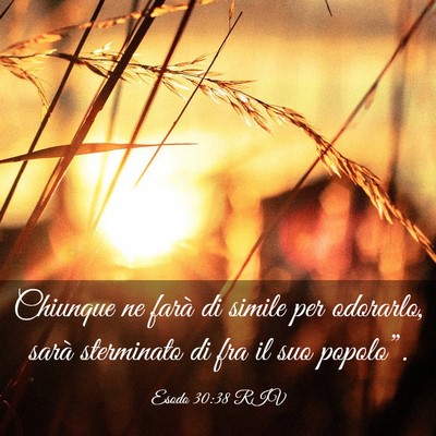 Picture 03 - Esodo 30:38 RIV - Chiunque ne farà di simile per odorarlo, sarà - Bible Verse Picture