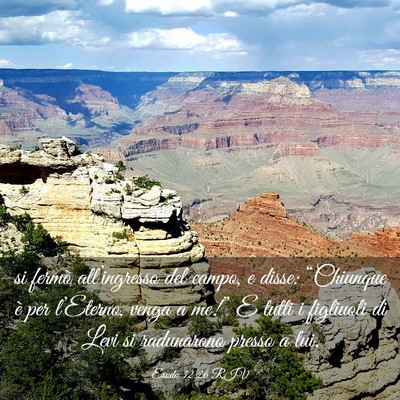 Picture 03 - Esodo 32:26 RIV - si fermò all’ingresso del campo, e disse: - Bible Verse Picture