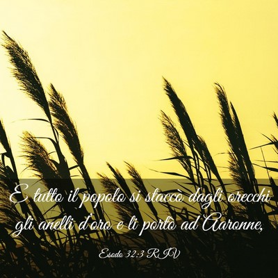 Picture 03 - Esodo 32:3 RIV - E tutto il popolo si staccò dagli orecchi gli - Bible Verse Picture