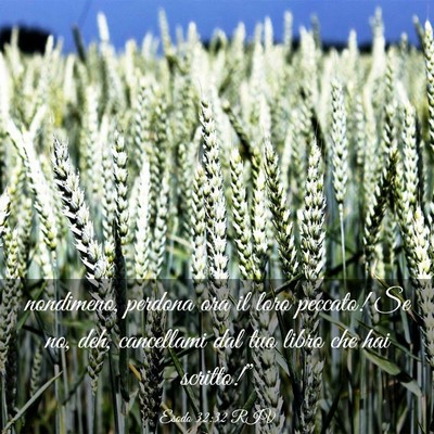 Picture 03 - Esodo 32:32 RIV - nondimeno, perdona ora il loro peccato! Se no, - Bible Verse Picture