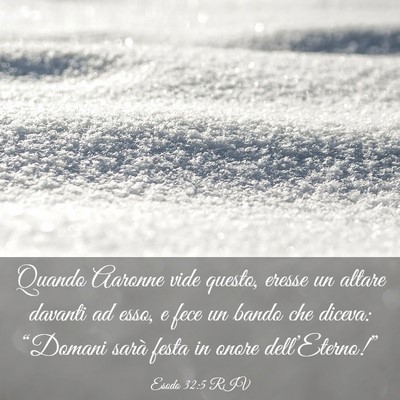 Picture 03 - Esodo 32:5 RIV - Quando Aaronne vide questo, eresse un altare - Bible Verse Picture