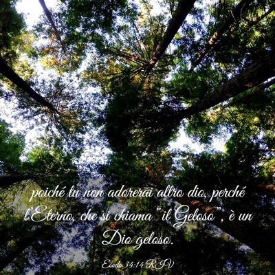 Picture 03 - Esodo 34:14 RIV - poiché tu non adorerai altro dio, perché - Bible Verse Picture