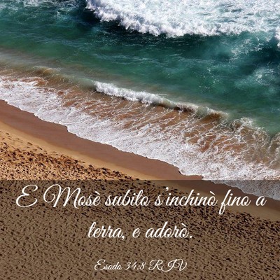 Picture 03 - Esodo 34:8 RIV - E Mosè subito s’inchinò fino a terra, e - Bible Verse Picture