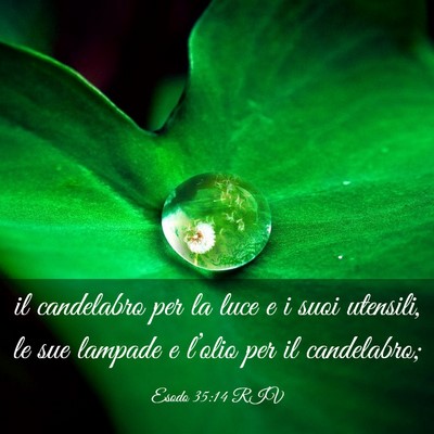Picture 03 - Esodo 35:14 RIV - il candelabro per la luce e i suoi utensili, le - Bible Verse Picture