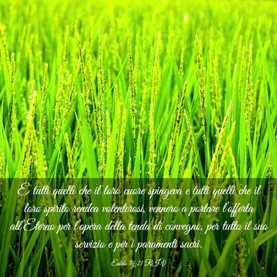 Picture 03 - Esodo 35:21 RIV - E tutti quelli che il loro cuore spingeva e tutti - Bible Verse Picture