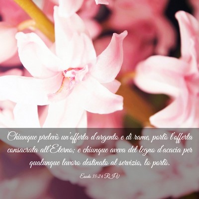 Picture 03 - Esodo 35:24 RIV - Chiunque prelevò un’offerta d’argento e di - Bible Verse Picture