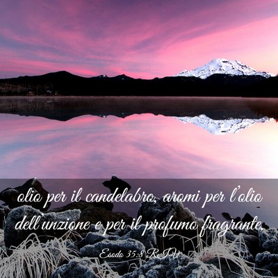 Picture 03 - Esodo 35:8 RIV - olio per il candelabro, aromi per l’olio - Bible Verse Picture