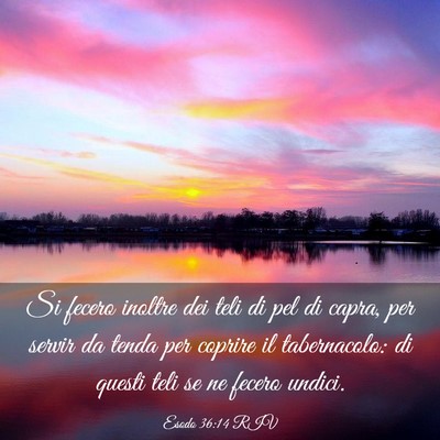Picture 03 - Esodo 36:14 RIV - Si fecero inoltre dei teli di pel di capra, per - Bible Verse Picture