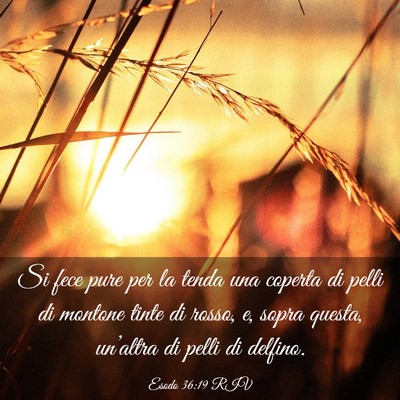 Picture 03 - Esodo 36:19 RIV - Si fece pure per la tenda una coperta di pelli di - Bible Verse Picture