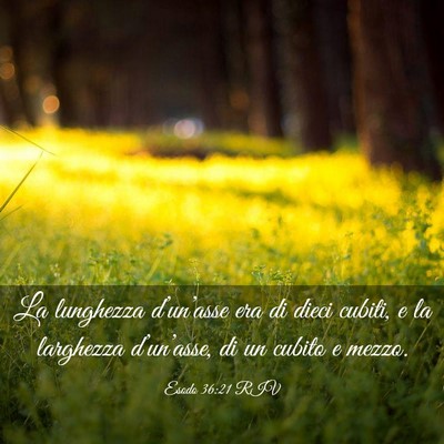 Picture 03 - Esodo 36:21 RIV - La lunghezza d’un’asse era di dieci cubiti, e - Bible Verse Picture