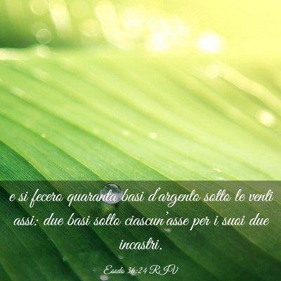 Picture 03 - Esodo 36:24 RIV - e si fecero quaranta basi d’argento sotto le - Bible Verse Picture