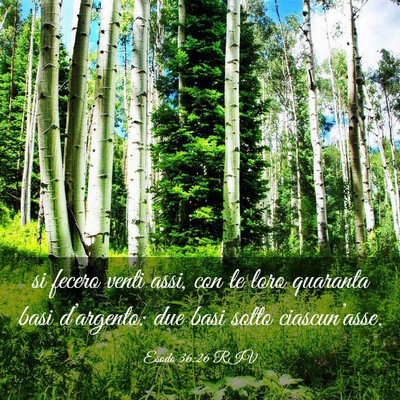 Picture 03 - Esodo 36:26 RIV - si fecero venti assi, con le loro quaranta basi - Bible Verse Picture