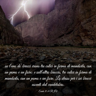 Picture 03 - Esodo 37:19 RIV - su l’uno de’ bracci erano tre calici in forma - Bible Verse Picture
