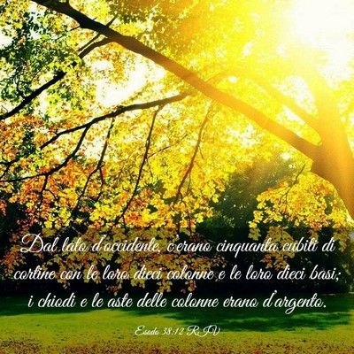 Picture 03 - Esodo 38:12 RIV - Dal lato d’occidente, c’erano cinquanta - Bible Verse Picture