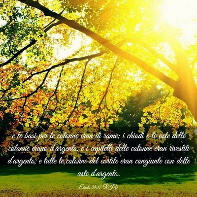 Picture 03 - Esodo 38:17 RIV - e le basi per le colonne eran di rame; i chiodi e - Bible Verse Picture