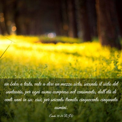Picture 03 - Esodo 38:26 RIV - un beka a testa, vale a dire un mezzo siclo, - Bible Verse Picture