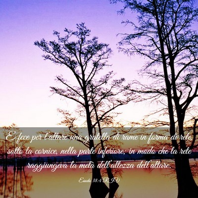 Picture 03 - Esodo 38:4 RIV - E fece per l’altare una gratella di rame in - Bible Verse Picture