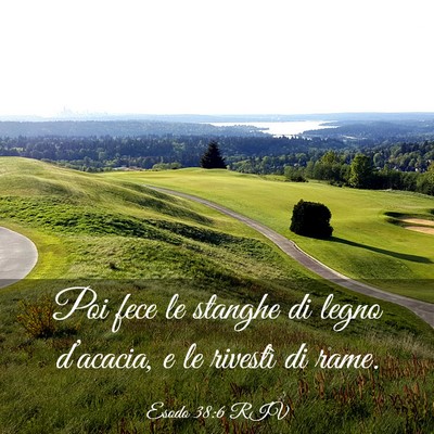 Picture 03 - Esodo 38:6 RIV - Poi fece le stanghe di legno d’acacia, e le - Bible Verse Picture