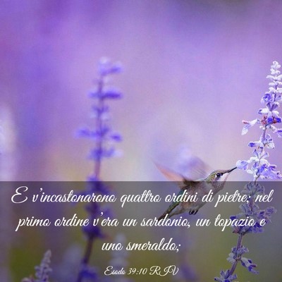 Picture 03 - Esodo 39:10 RIV - E v’incastonarono quattro ordini di pietre; nel - Bible Verse Picture