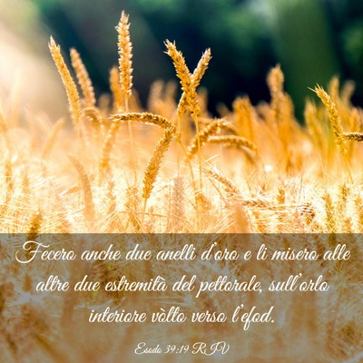 Picture 03 - Esodo 39:19 RIV - Fecero anche due anelli d’oro e li misero alle - Bible Verse Picture