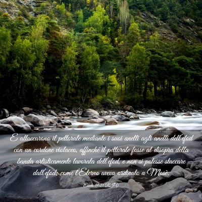Picture 03 - Esodo 39:21 RIV - E attaccarono il pettorale mediante i suoi anelli - Bible Verse Picture